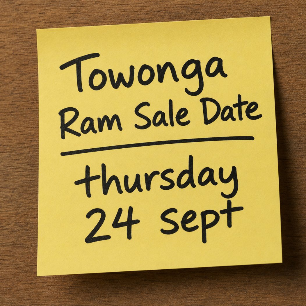 2026 Towonga Ram Sale