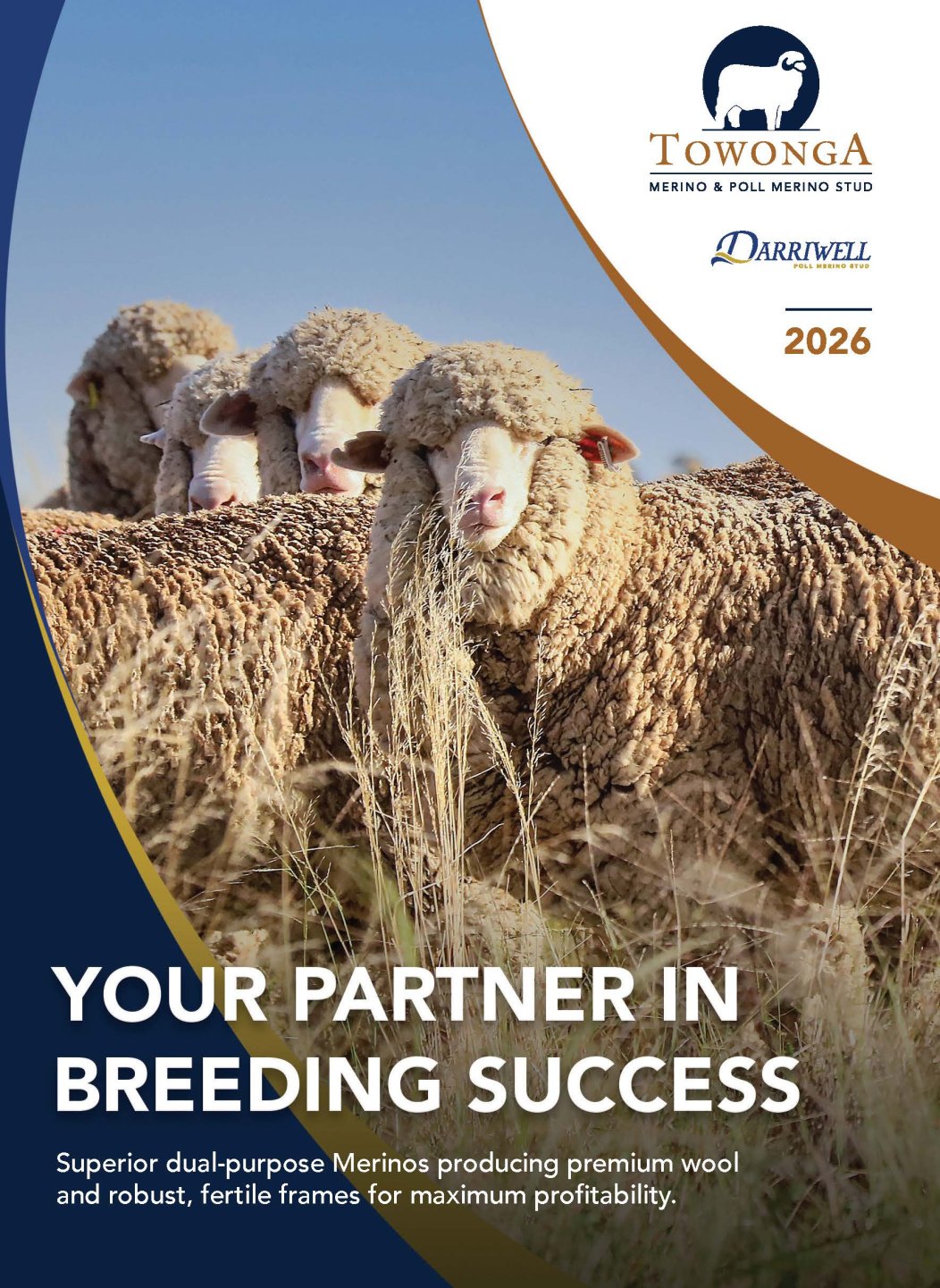 2026 Towonga Stud Brochure