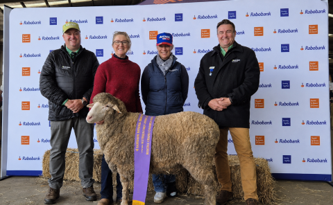 Mabel Gets Reserve Grand Champion