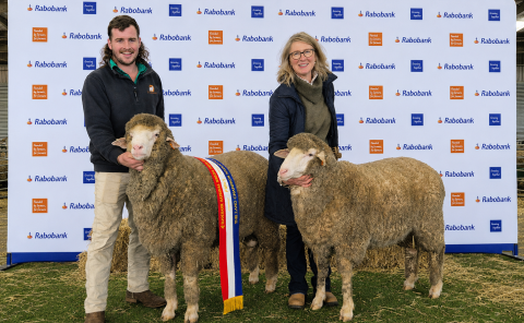 The Land, Champion Pair, March Shorn