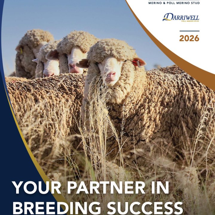 2026 Towonga Stud Brochure
